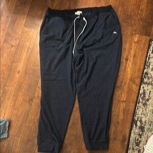 Tommy Bahama Blue Joggers with Elastic Waistband